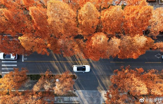 【节气里的大美中国·大雪】【绝美壁纸！#冬天里的大美中国#】