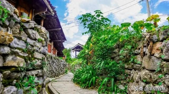 仡佬之源——务川|余泽江