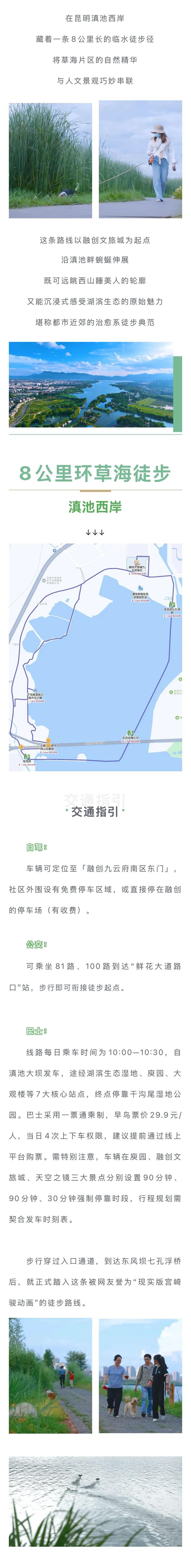 滇池西岸8公里轻徒步全攻略，邂逅宫崎骏笔下的治愈系秘境