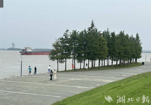 我的长江我的家｜来青山江滩公园拍照、露营