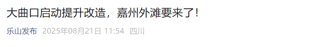 实探|乐山滨江滨河路建议这样升级：步行街+非遗集市+江上表演！