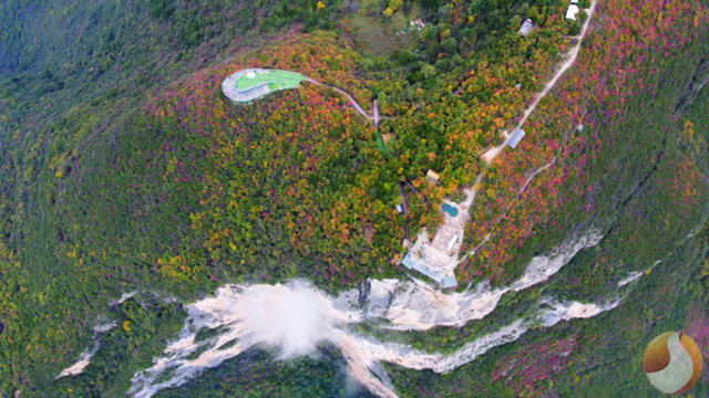 三峡之巅红叶渐染 彩林叠翠绘就初冬生态画卷‌