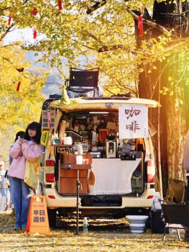 好期待！杭州西南这个银杏谷，进入变色倒计时~