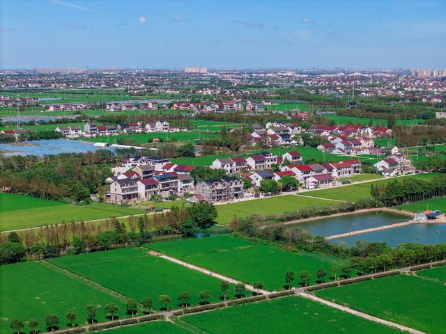 初心如画，匠心入梦：在奉贤的田园诗里读懂上海的另一种温柔