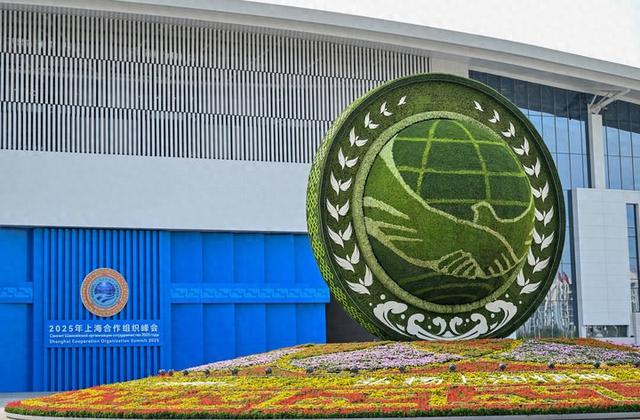 生物优化重组答案（新华社政论循道而行）