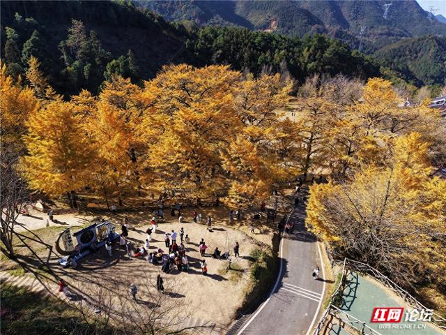 【每日一图@湖南】在永州桐子坳，我找到了最动人的浪漫