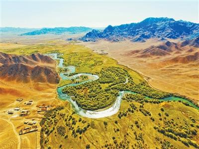 家里的故事2攻略（种植百万棵灌木柳河狸种群增长50一起看这条河畔的生态故事）