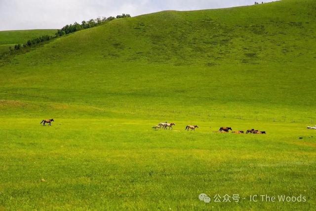 张家口地区坝上与坝下文化差异的成因及当代文化交融现象