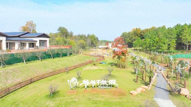 免票！半价！元旦假期随县多个景区推出优惠