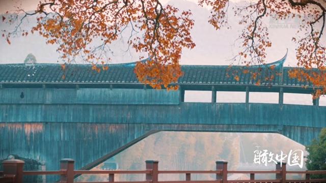 瞰中国｜福建屏南：廊桥乌桕