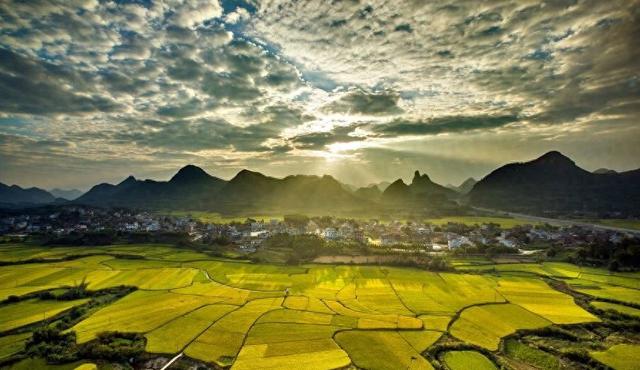 【年度答卷 绩起新程】全域融合绘新景 惠民兴产谱新篇——柳江区文化体育广电和旅游局2025年度工作巡礼