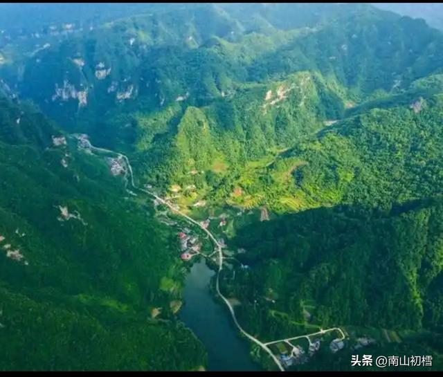 三线履痕（44）||山中自有千年树