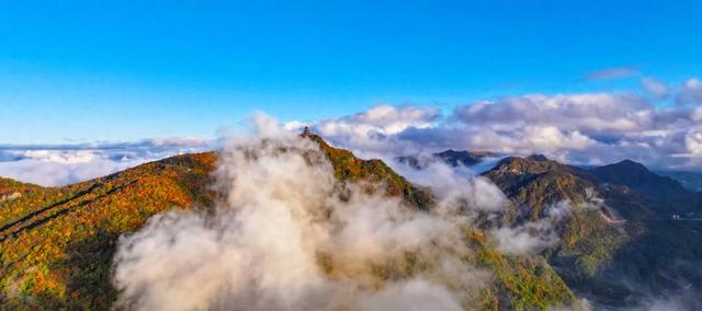 集赞免票！龙头山油画森林开放，承包你的秋日浪漫，快来薅羊毛~