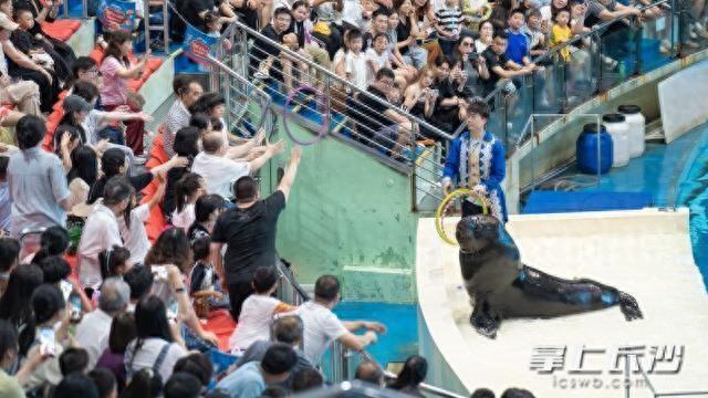 双节同庆，长沙海底世界每天13个小时“鲸”彩狂欢不停歇
