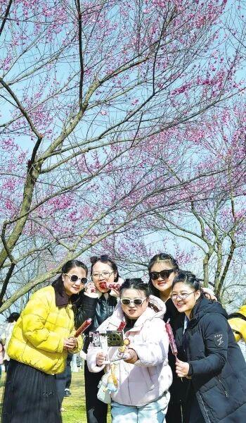 罕见！三九时节武汉开启赏花季：梅香樱艳兰花开