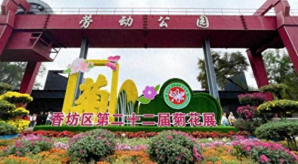菊花展带火香坊多处主题公园