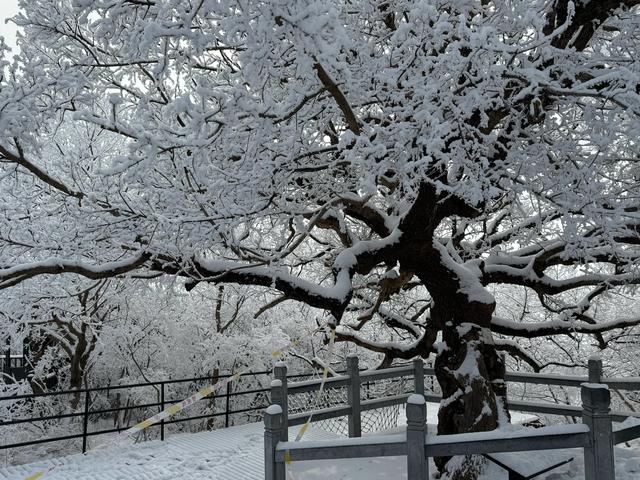 首遇云台山的雪凇美景