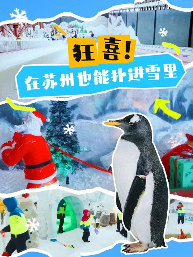 在苏州也能扑进雪里！南方孩子的冬日幻想成真