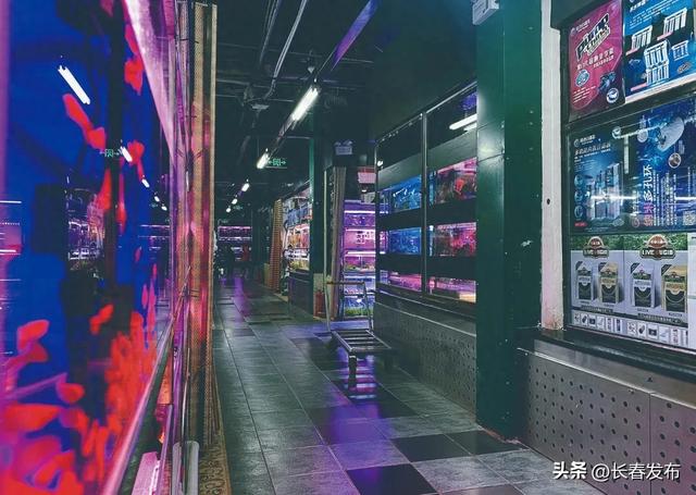走进长春!150个网红打卡地之青怡坊花鸟鱼综合市场
