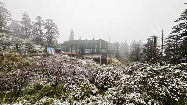 四川洪雅：瓦屋山初雪早至 彩林云海引客打卡 景区免票至11月底