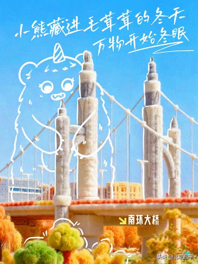 降温啦！一起拥抱“毛茸茸”的冬天