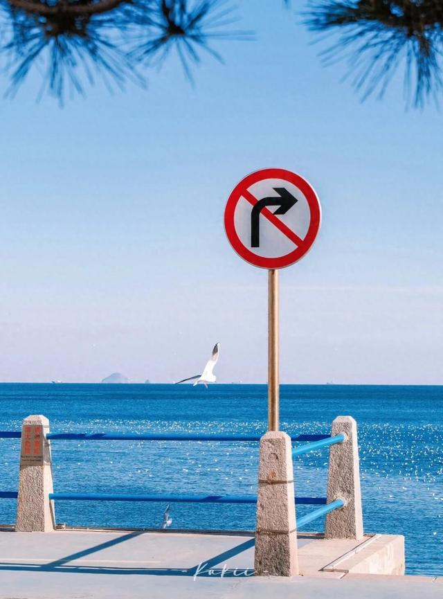 还有谁不知道，这份超全的“逛市南”攻略！