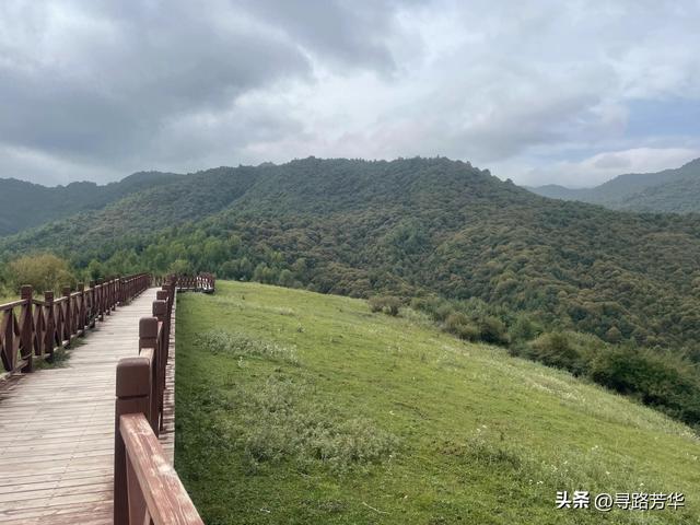 相逢在临夏草长沟的风里