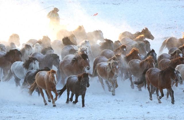 2026年乌兰布统马文化节开幕