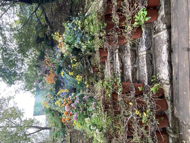 压油沟：山水间的千年秋声