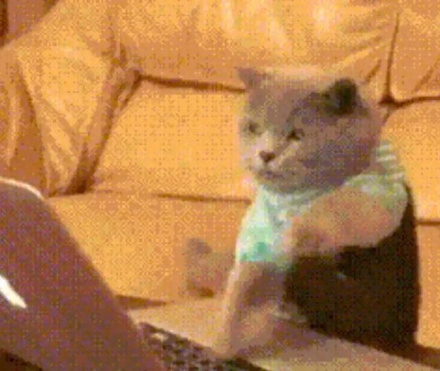 次优化策略（摸鱼时刻10道全新烧脑逻辑题）