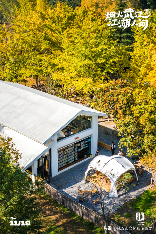 直冲20°C！武汉赏秋天花板，上新3个玩法