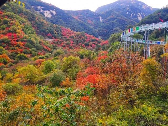 出行提醒！洛阳两景区闭园，暂停开放→