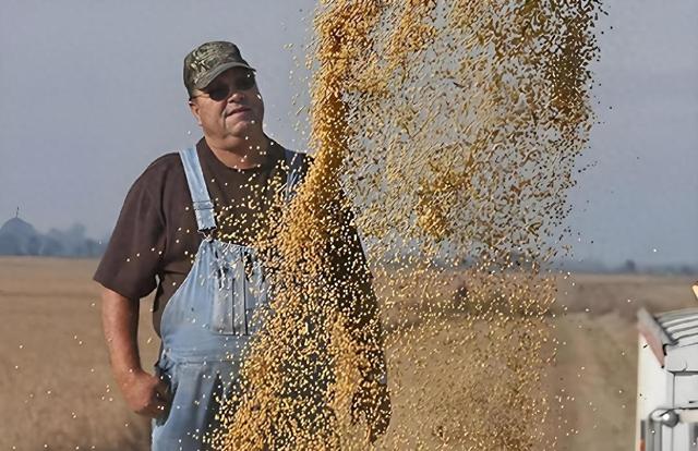 巴西大豆价格暴涨79.9%,中国买家按下暂停键,明年这笔钱还花这吗?