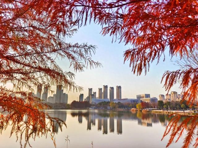 要火！太出片了！阜阳这里竟美到窒息，很多人不知道，赶紧去！多图拍下！