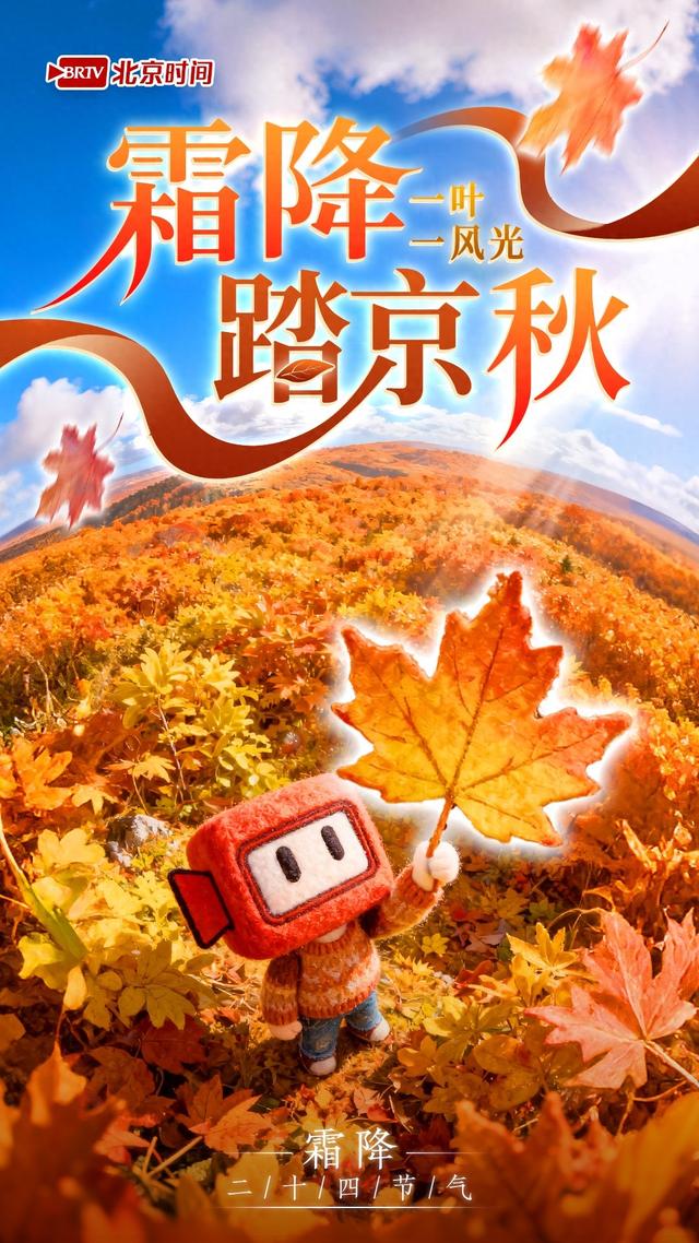 霜降踏京秋 一叶一风光｜8种彩叶绘就北京多彩又诗意的秋