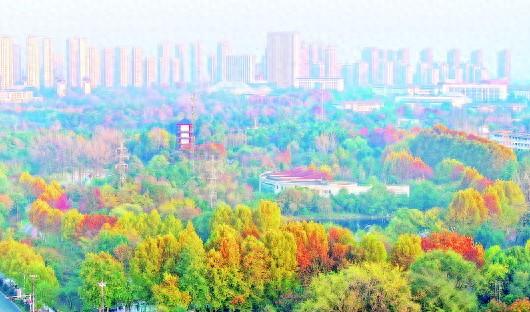 六安中央森林公园色彩斑斓 美景如画