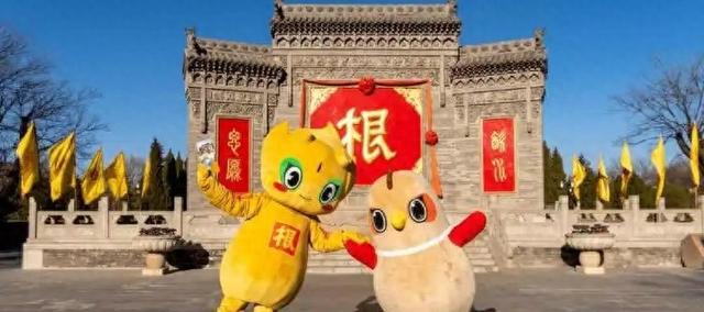 古槐屹立岁月悠、枝繁叶茂诉千秋