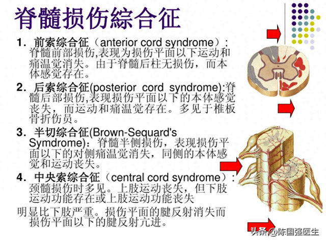 频寄蓉