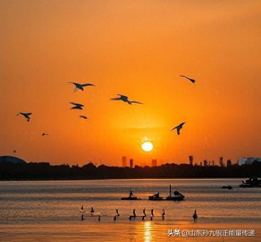 当你不再执着于完美，你会发现，生活原本的模样，就已经足够美好