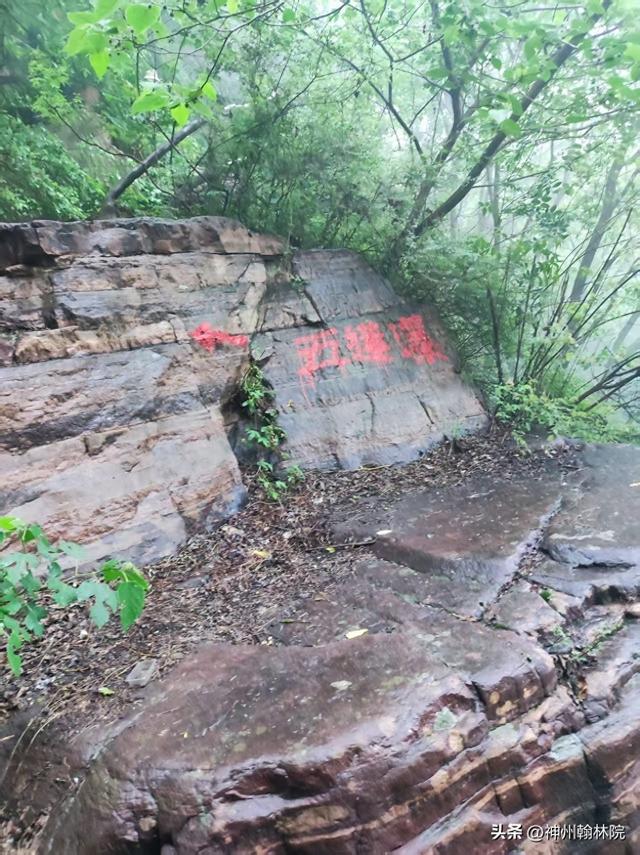 天平山散记