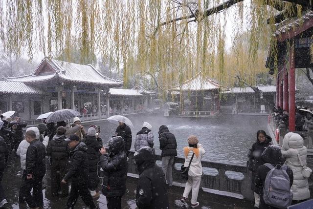 降雪了！济南人开启“看雪”模式，景区搜索热度暴涨