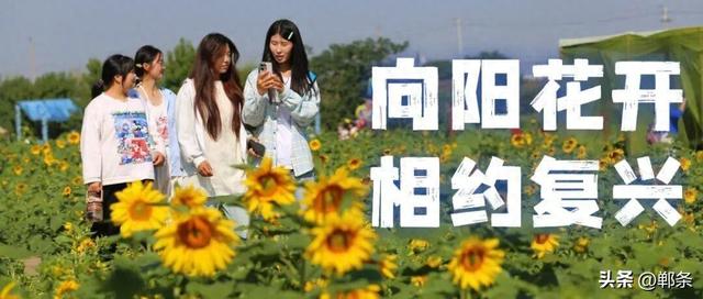 向阳花开 相约复兴 | 东高河“免费五件套”：景美情更暖