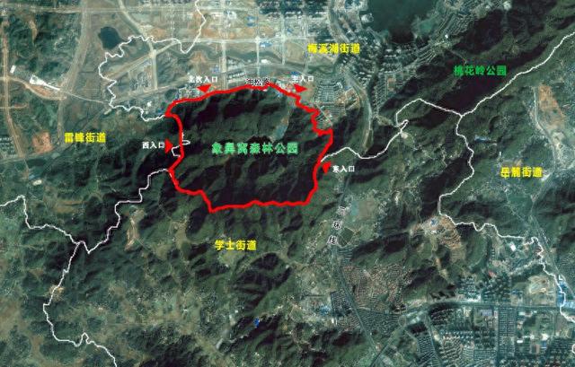 陡坡、碎石与消失的信号……象鼻窝森林公园违规野爬危险程度如何？记者实地探访