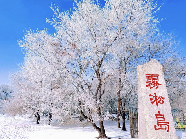 被央视点名的6大冬景！第3个美到限流，第5个免费却少有人知