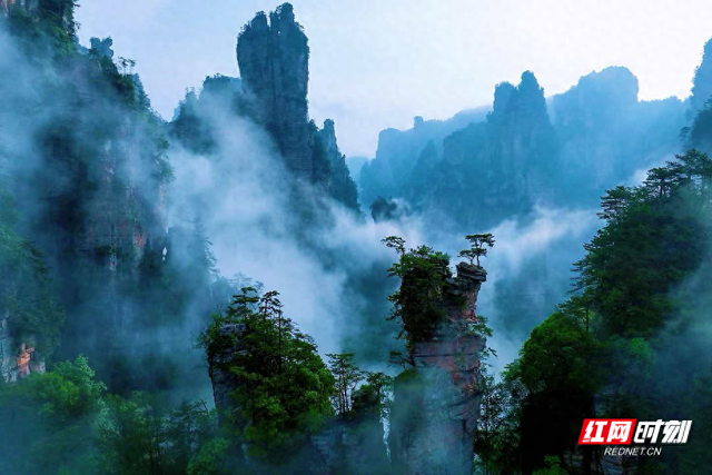 张家界十里画廊：水墨仙境中，12生肖观光电车开启童话之旅