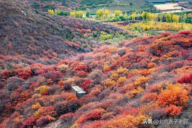 周末自驾五彩浅山！闯入北京醉美秋日童话