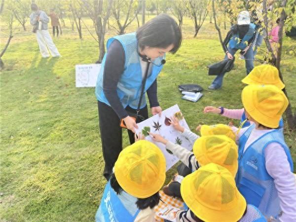 安庆科技馆举办“秋日叶语·常青与落叶的生态密码”自然探索课堂