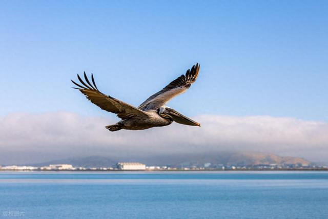 苏州仓街往事368：她没有想到，儿子对公司是有想法的