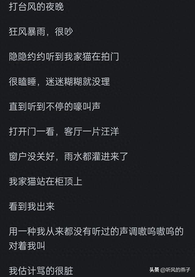 你是否有过把宠物逼的差点说话的时候？网友们的分享，惊呆了