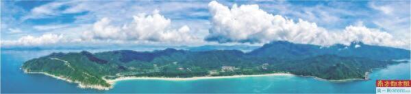 去东涌红树林湿地 观黑脸琵鹭